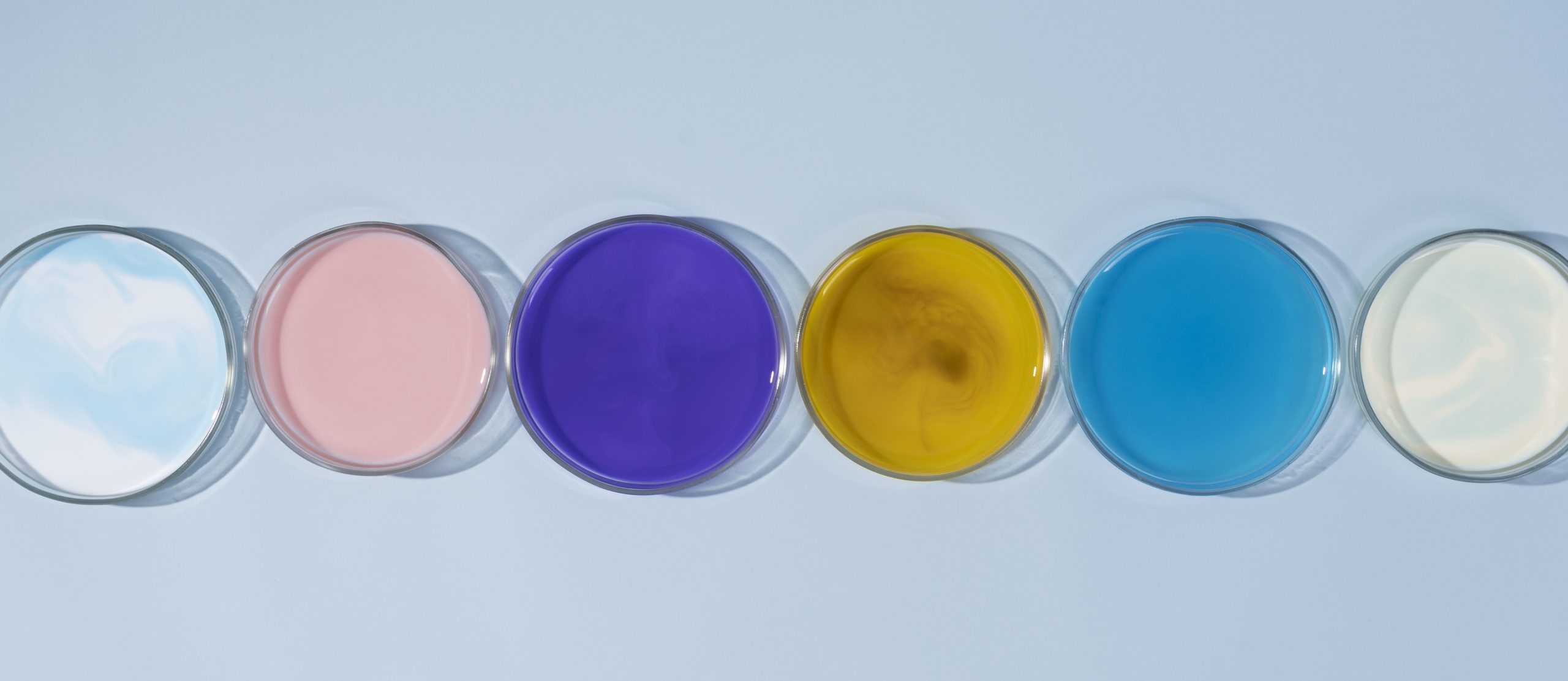 Ensaios microbiológicos